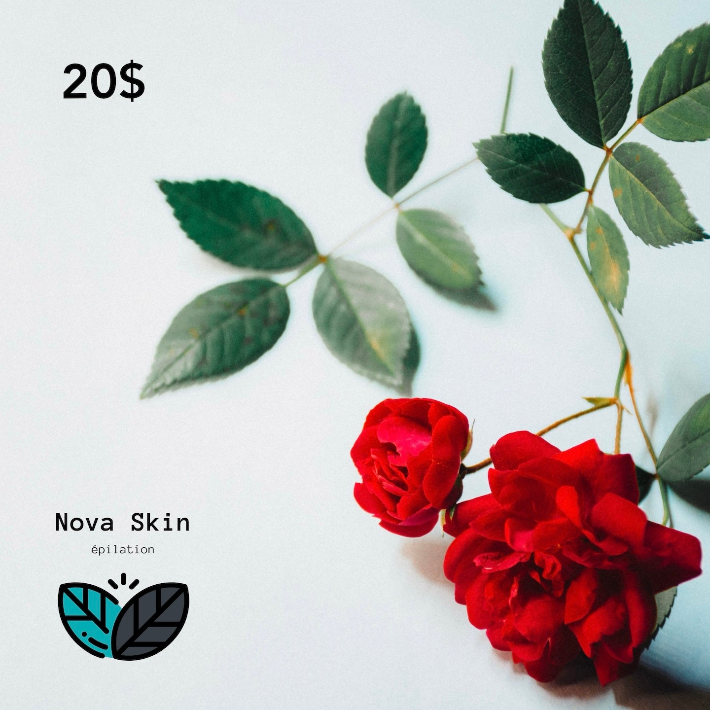 Nova Skin Gift Card - $20